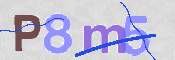 CAPTCHA (Şahıs Denetim Kodu) Resmi