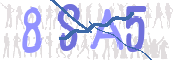 CAPTCHA (Şahıs Denetim Kodu) Resmi