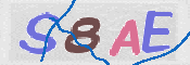 CAPTCHA (Şahıs Denetim Kodu) Resmi