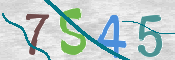 CAPTCHA (Şahıs Denetim Kodu) Resmi