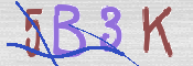 CAPTCHA (Şahıs Denetim Kodu) Resmi