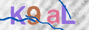 CAPTCHA (Şahıs Denetim Kodu) Resmi
