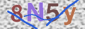 CAPTCHA (Şahıs Denetim Kodu) Resmi