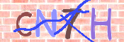 CAPTCHA (Şahıs Denetim Kodu) Resmi