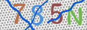 CAPTCHA (Şahıs Denetim Kodu) Resmi