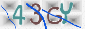 CAPTCHA (Şahıs Denetim Kodu) Resmi