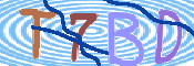 CAPTCHA (Şahıs Denetim Kodu) Resmi