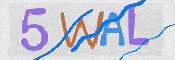 CAPTCHA (Şahıs Denetim Kodu) Resmi