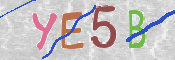 CAPTCHA (Şahıs Denetim Kodu) Resmi