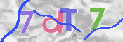 CAPTCHA (Şahıs Denetim Kodu) Resmi