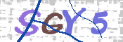 CAPTCHA (Şahıs Denetim Kodu) Resmi
