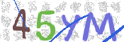 CAPTCHA (Şahıs Denetim Kodu) Resmi