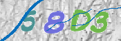 CAPTCHA (Şahıs Denetim Kodu) Resmi