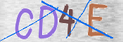 CAPTCHA (Şahıs Denetim Kodu) Resmi