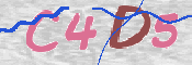 CAPTCHA (Şahıs Denetim Kodu) Resmi