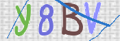 CAPTCHA (Şahıs Denetim Kodu) Resmi