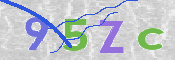 CAPTCHA (Şahıs Denetim Kodu) Resmi