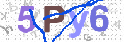 CAPTCHA (Şahıs Denetim Kodu) Resmi