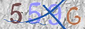 CAPTCHA (Şahıs Denetim Kodu) Resmi