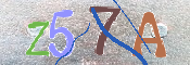 CAPTCHA (Şahıs Denetim Kodu) Resmi
