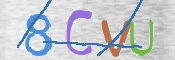 CAPTCHA (Şahıs Denetim Kodu) Resmi