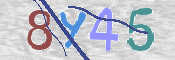 CAPTCHA (Şahıs Denetim Kodu) Resmi