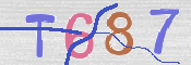 CAPTCHA (Şahıs Denetim Kodu) Resmi