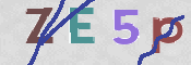 CAPTCHA (Şahıs Denetim Kodu) Resmi