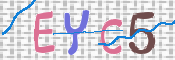CAPTCHA (Şahıs Denetim Kodu) Resmi