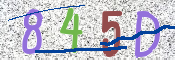 CAPTCHA (Şahıs Denetim Kodu) Resmi