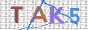 CAPTCHA (Şahıs Denetim Kodu) Resmi