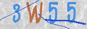 CAPTCHA (Şahıs Denetim Kodu) Resmi