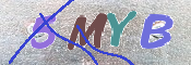 CAPTCHA (Şahıs Denetim Kodu) Resmi