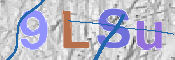 CAPTCHA (Şahıs Denetim Kodu) Resmi