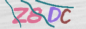 CAPTCHA (Şahıs Denetim Kodu) Resmi