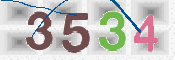 CAPTCHA (Şahıs Denetim Kodu) Resmi