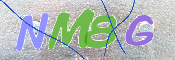 CAPTCHA (Şahıs Denetim Kodu) Resmi