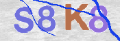 CAPTCHA (Şahıs Denetim Kodu) Resmi