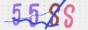 CAPTCHA (Şahıs Denetim Kodu) Resmi