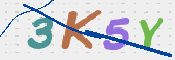 CAPTCHA (Şahıs Denetim Kodu) Resmi