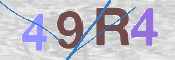 CAPTCHA (Şahıs Denetim Kodu) Resmi