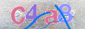 CAPTCHA (Şahıs Denetim Kodu) Resmi