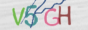 CAPTCHA (Şahıs Denetim Kodu) Resmi