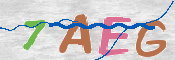 CAPTCHA (Şahıs Denetim Kodu) Resmi