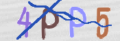 CAPTCHA (Şahıs Denetim Kodu) Resmi