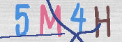 CAPTCHA (Şahıs Denetim Kodu) Resmi