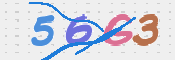 CAPTCHA (Şahıs Denetim Kodu) Resmi