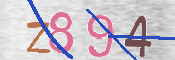 CAPTCHA (Şahıs Denetim Kodu) Resmi