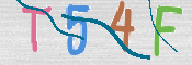 CAPTCHA (Şahıs Denetim Kodu) Resmi