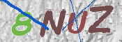 CAPTCHA (Şahıs Denetim Kodu) Resmi